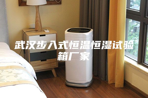 武汉步入式恒温恒湿试验箱厂家