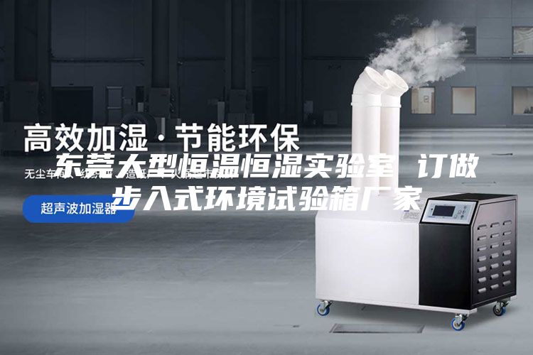 东莞大型恒温恒湿实验室 订做步入式环境试验箱厂家
