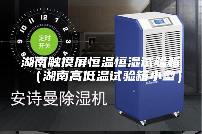 湖南触摸屏恒温恒湿试验箱（湖南高低温试验箱小型）