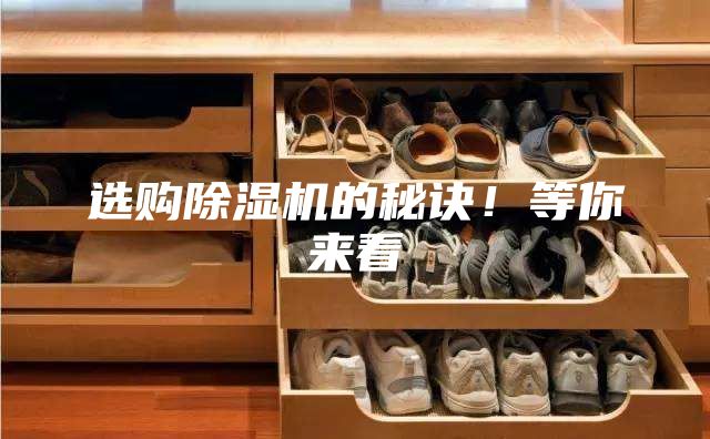 选购除湿机的秘诀！等你来看