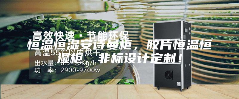 恒温恒湿安诗曼柜，胶片恒温恒湿柜，非标设计定制！