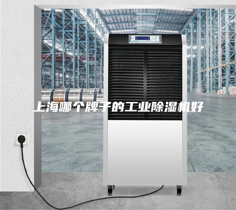 上海哪个牌子的工业除湿机好