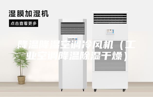 降温降湿空调冷风机（工业空调降温除湿干燥）