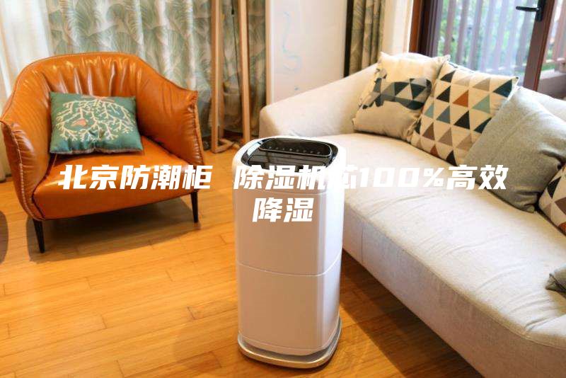 北京防潮柜 除湿机芯100%高效降湿