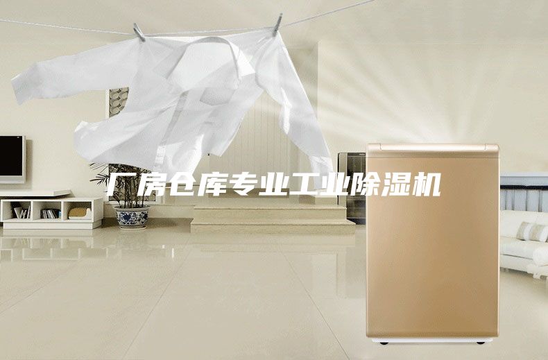 厂房仓库专业工业除湿机