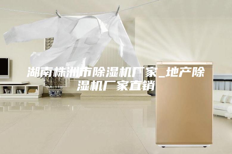 湖南株洲市除湿机厂家_地产除湿机厂家直销