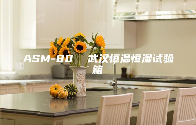ASM-80  武汉恒温恒湿试验箱