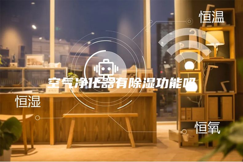 空气净化器有除湿功能吗