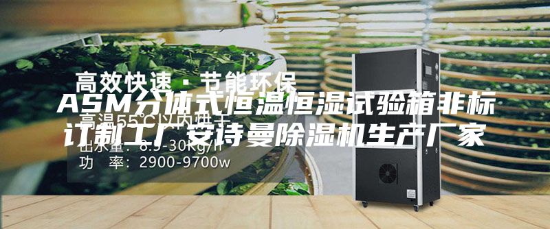 ASM分体式恒温恒湿试验箱非标订制工厂安诗曼除湿机生产厂家