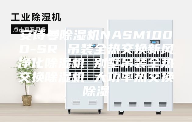 安诗曼除湿机NASM100D-SR 吊装全热交换新风净化除湿机 别墅吊装全热交换除湿机 大功率热交换除湿