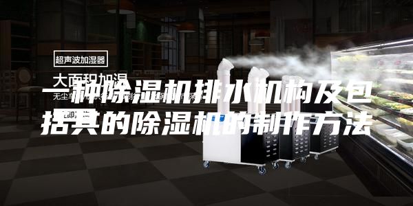 一种除湿机排水机构及包括其的除湿机的制作方法