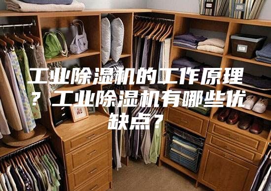 工业除湿机的工作原理？工业除湿机有哪些优缺点？