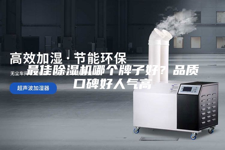 最佳除湿机哪个牌子好？品质口碑好人气高