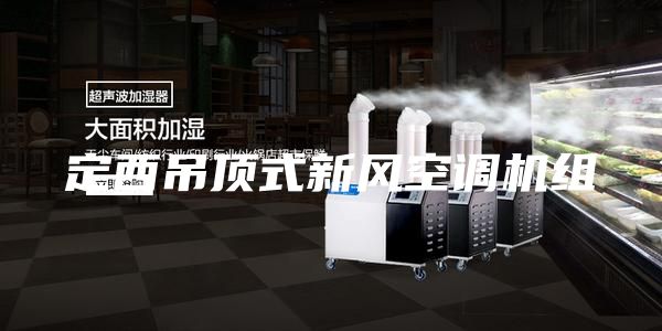 定西吊顶式新风空调机组