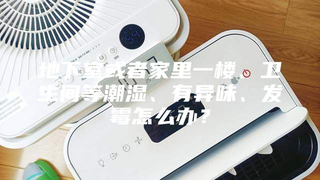 地下室或者家里一楼、卫生间等潮湿、有异味、发霉怎么办？