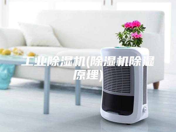 工业除湿机(除湿机除湿原理)