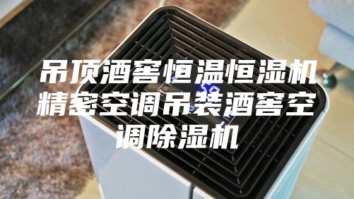 吊顶酒窖恒温恒湿机精密空调吊装酒窖空调除湿机