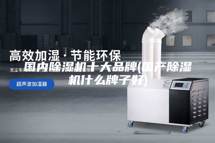国内除湿机十大品牌(国产除湿机什么牌子好)