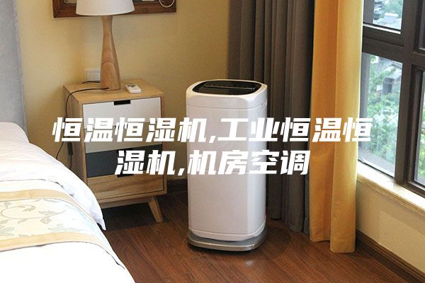 恒温恒湿机,工业恒温恒湿机,机房空调