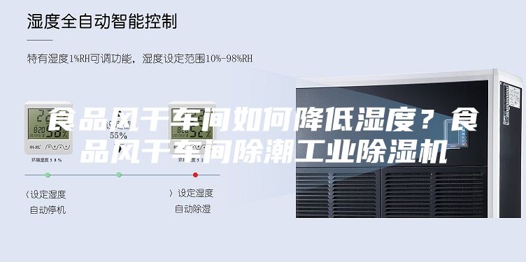食品风干车间如何降低湿度？食品风干车间除潮工业除湿机