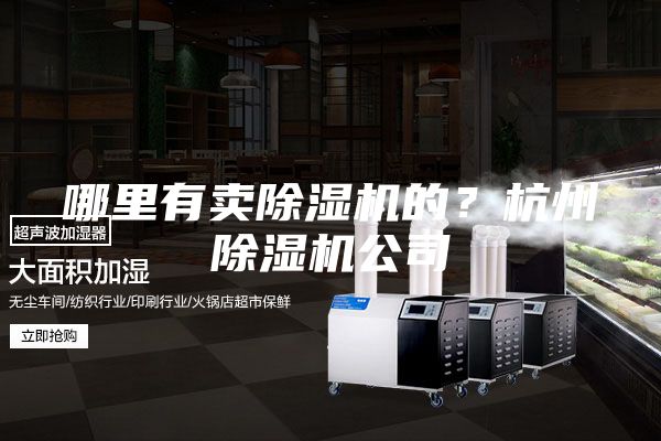 哪里有卖除湿机的？杭州除湿机公司