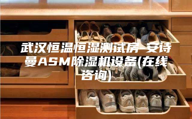 武汉恒温恒湿测试房-安诗曼ASM除湿机设备(在线咨询)