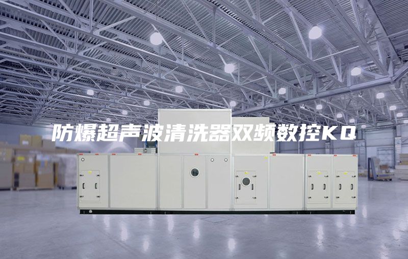 防爆超声波清洗器双频数控KQ