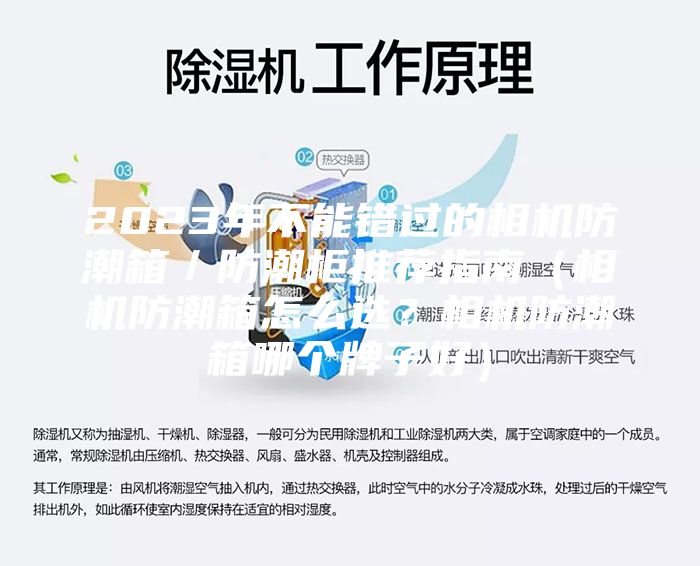 2023年不能错过的相机防潮箱／防潮柜推荐指南（相机防潮箱怎么选？相机防潮箱哪个牌子好）