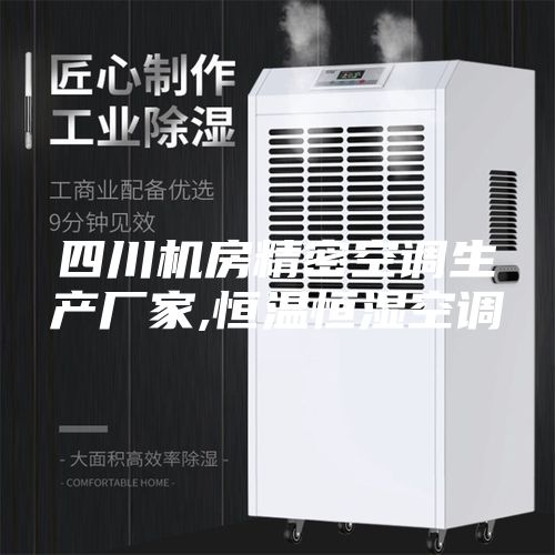 四川机房精密空调生产厂家,恒温恒湿空调