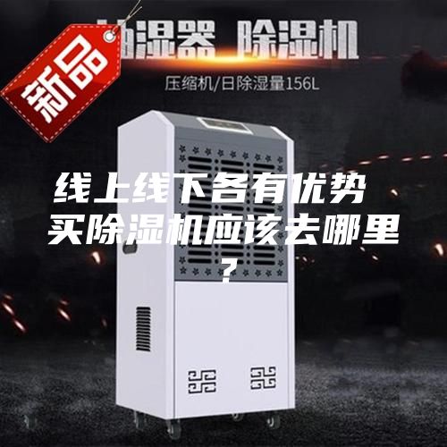 线上线下各有优势 买除湿机应该去哪里？