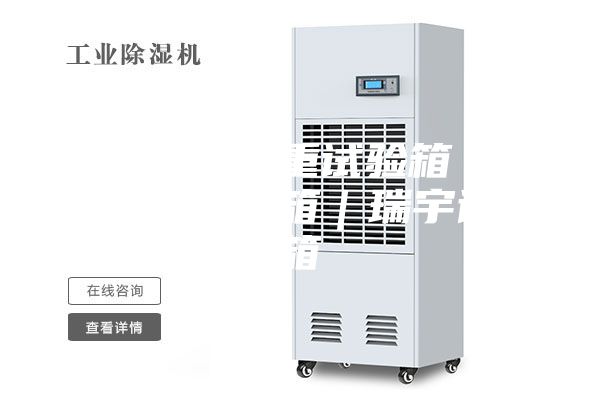 恒温恒湿称重试验箱｜恒温恒湿试验箱｜瑞宇试验箱