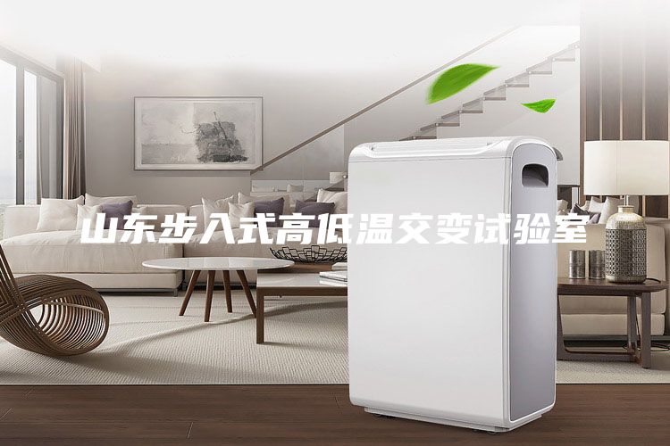 山东步入式高低温交变试验室
