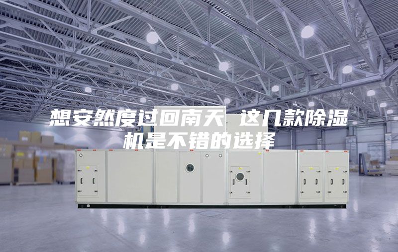 想安然度过回南天 这几款除湿机是不错的选择