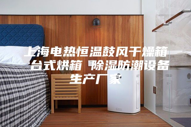 上海电热恒温鼓风干燥箱 台式烘箱 除湿防潮设备生产厂家