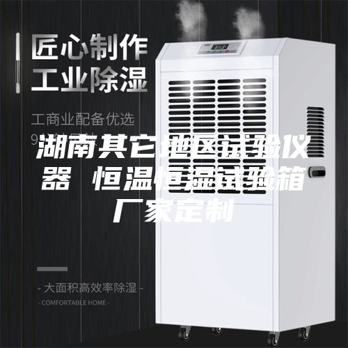 湖南其它地区试验仪器 恒温恒湿试验箱厂家定制