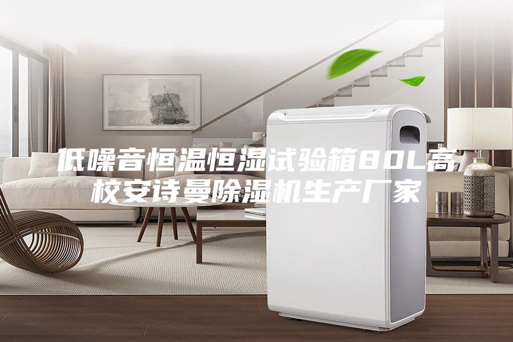 低噪音恒温恒湿试验箱80L高校安诗曼除湿机生产厂家