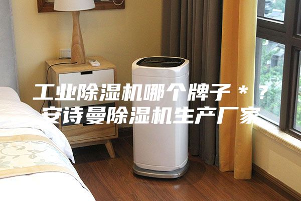 工业除湿机哪个牌子＊？安诗曼除湿机生产厂家