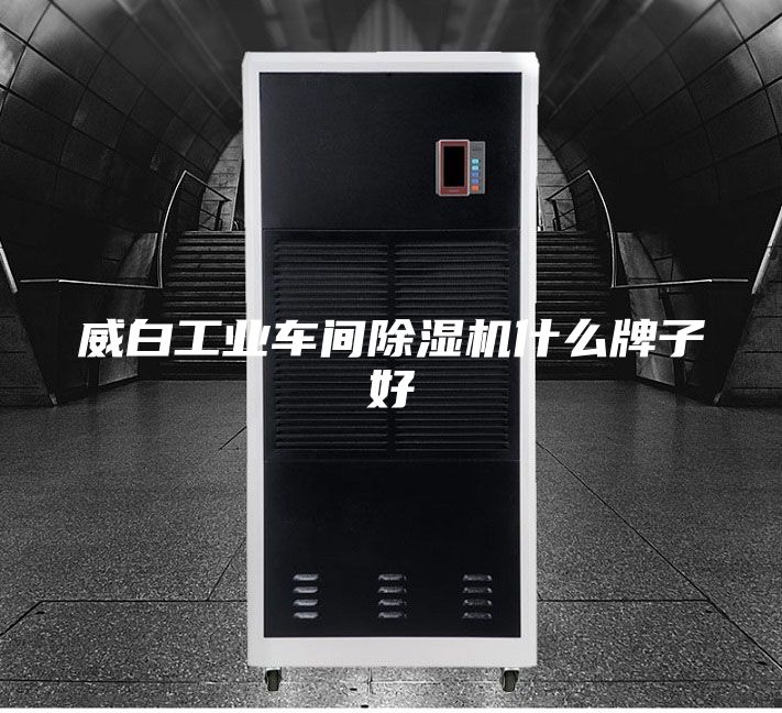 威白工业车间除湿机什么牌子好