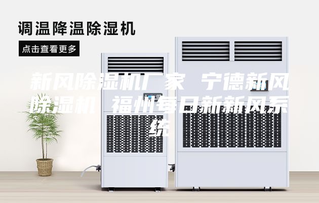 新风除湿机厂家 宁德新风除湿机 福州每日新新风系统