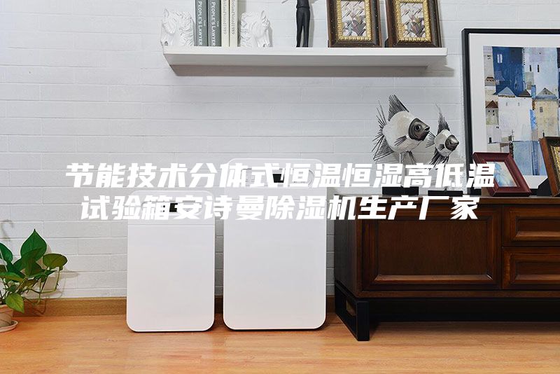 节能技术分体式恒温恒湿高低温试验箱安诗曼除湿机生产厂家