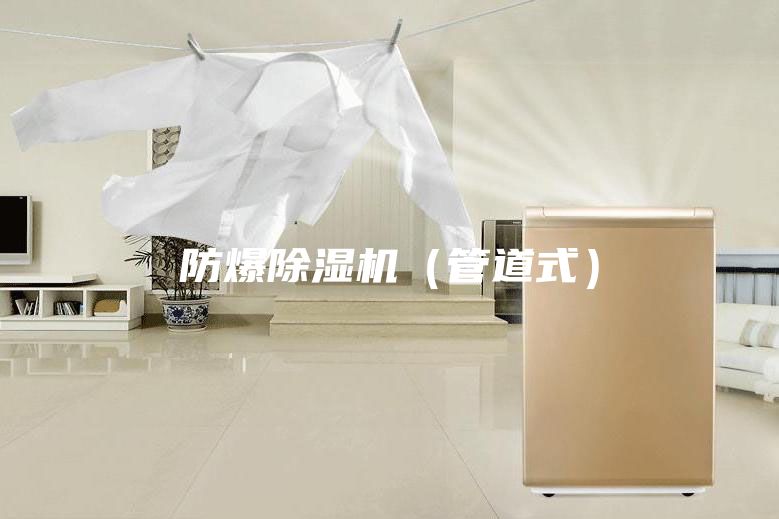 防爆除湿机（管道式）