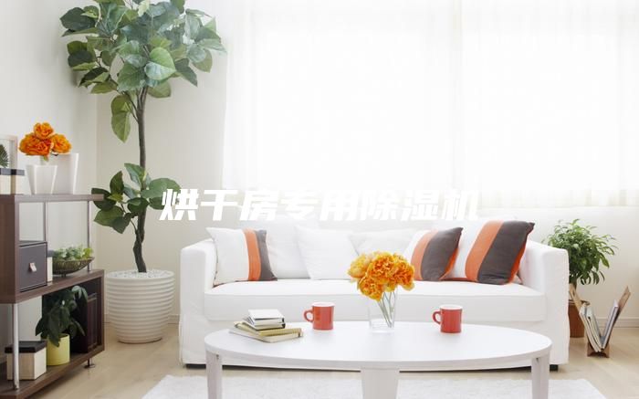 烘干房专用除湿机