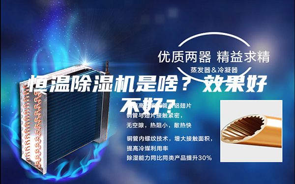 恒温除湿机是啥？效果好不好？