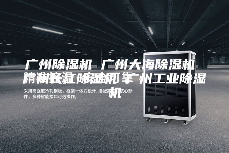 广州除湿机 广州大海除湿机 广州长江除湿机 广州工业除湿机
