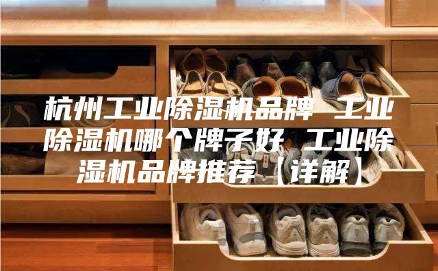 杭州工业除湿机品牌 工业除湿机哪个牌子好 工业除湿机品牌推荐【详解】