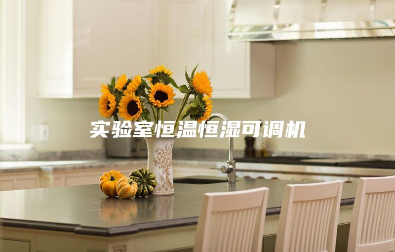 实验室恒温恒湿可调机
