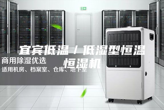宜宾低温／低湿型恒温恒湿机