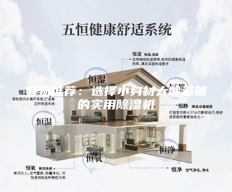 好物推荐：选择小身材大除湿量的实用除湿机