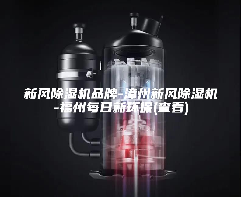 新风除湿机品牌-漳州新风除湿机-福州每日新环保(查看)