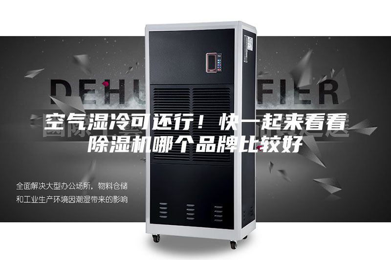 空气湿冷可还行！快一起来看看除湿机哪个品牌比较好